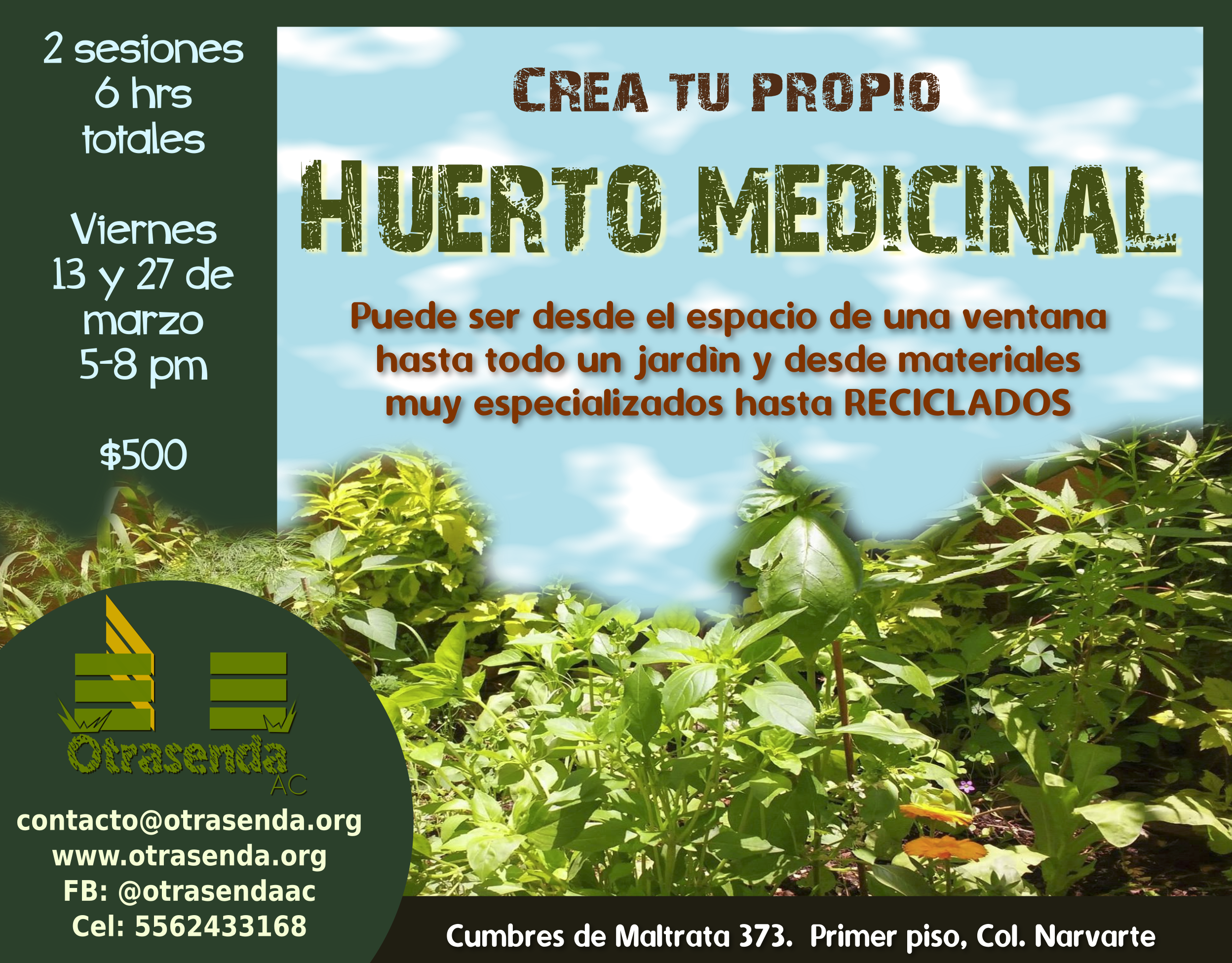 huertomedicinal1